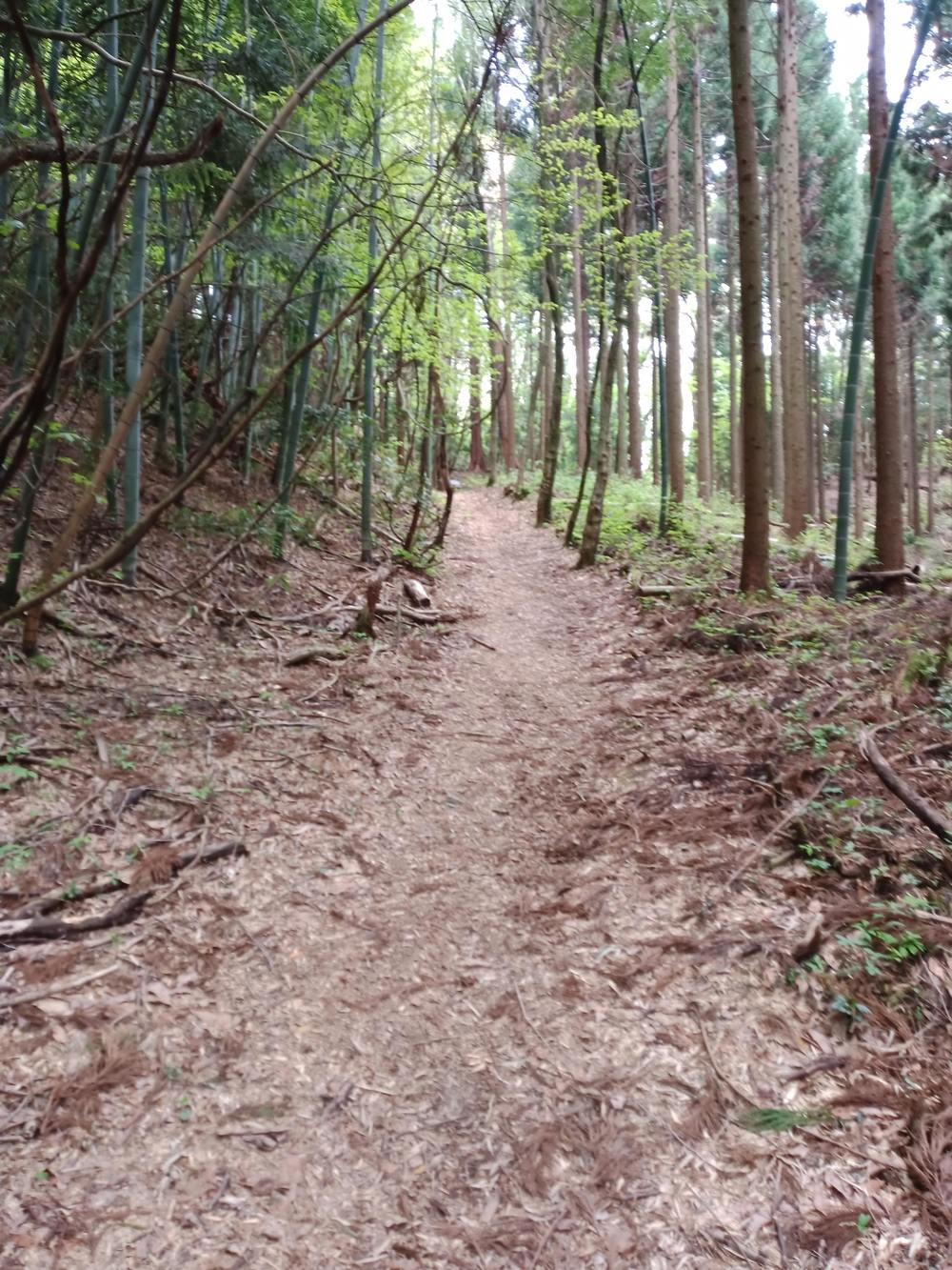 金沢市　額谷ふれあい公園ー石切り場の写真9