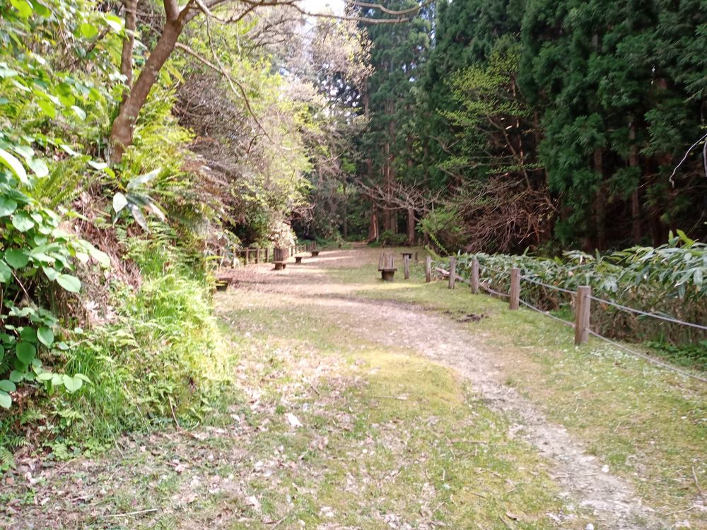 金沢市　額谷ふれあい公園ー石切り場の写真14