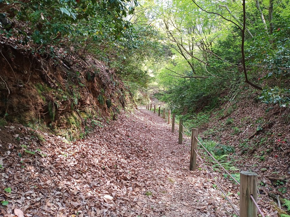 金沢市　額谷ふれあい公園ー石切り場の写真17