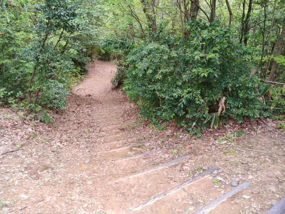 金沢市　額谷ふれあい公園ー石切り場の写真19