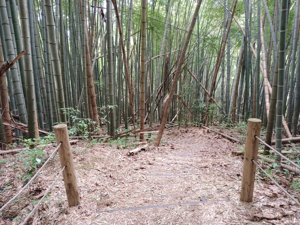 金沢市　額谷ふれあい公園ー石切り場の写真20