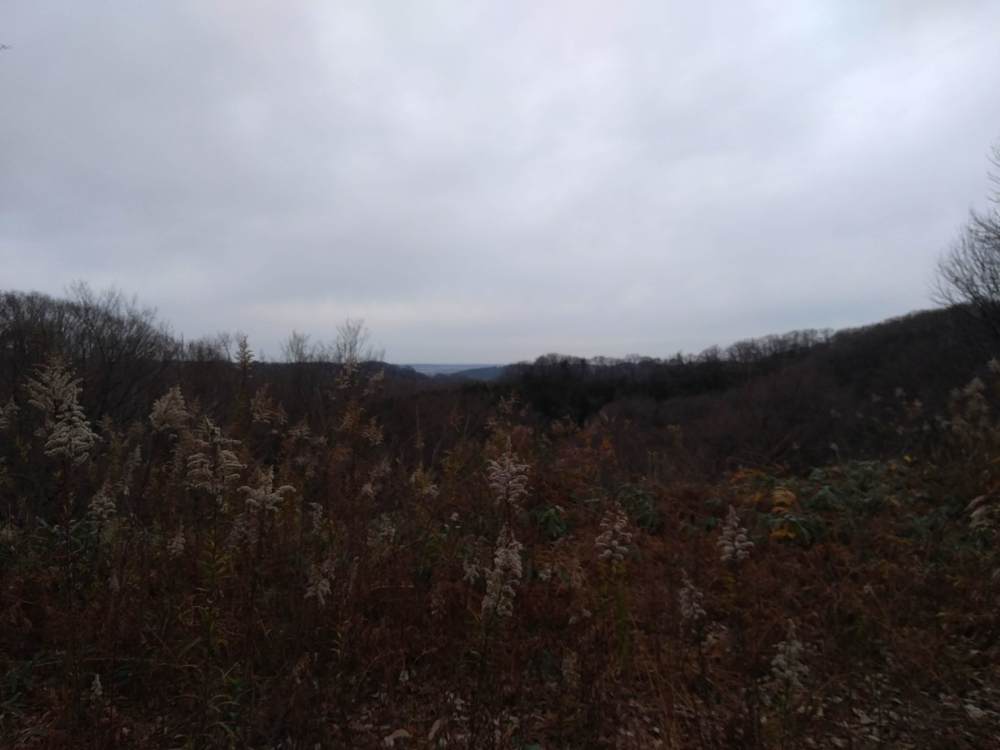 石川県　金沢　夕日寺ー山王坂遊歩道の写真5