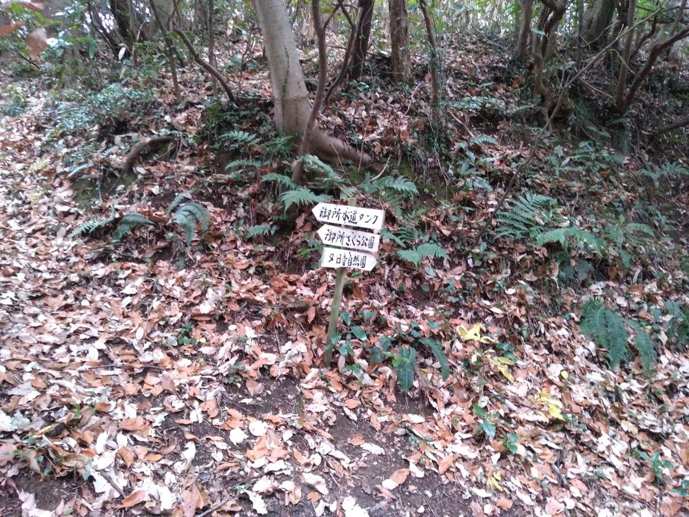 石川県　金沢　夕日寺ー山王坂遊歩道の写真6
