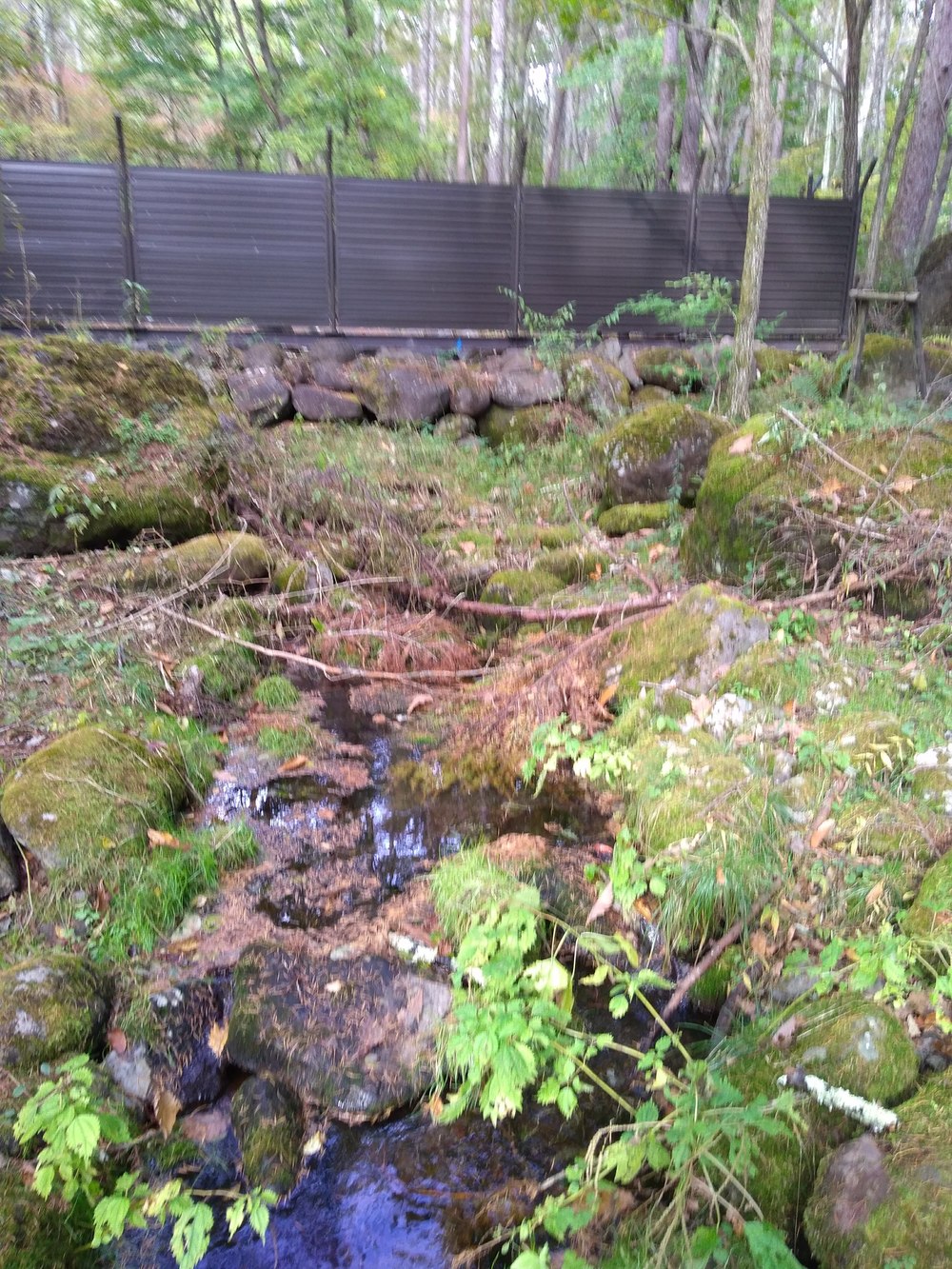 八ヶ岳　三分の一湧水ー女取湧水の写真3