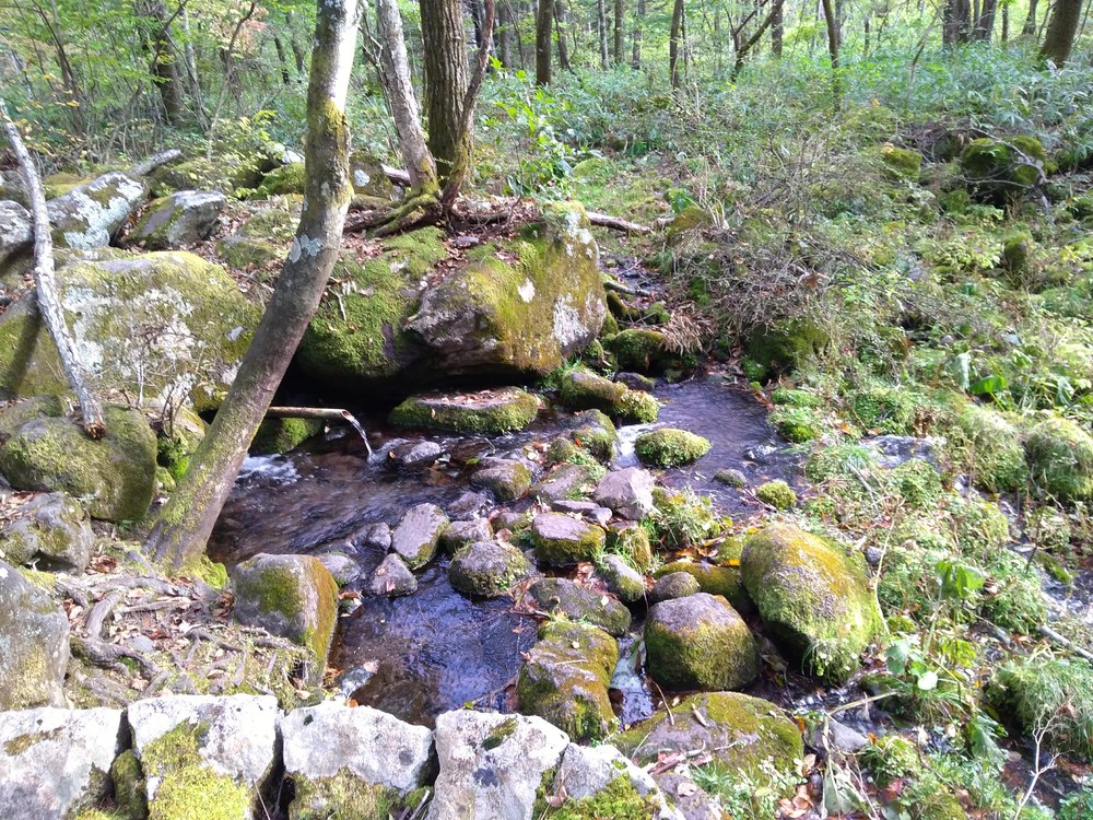 八ヶ岳　三分の一湧水ー女取湧水の写真4