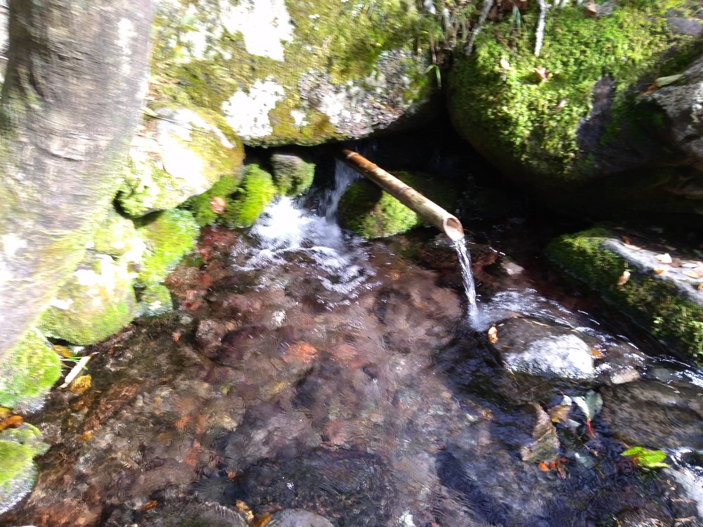 八ヶ岳　三分の一湧水ー女取湧水の写真5