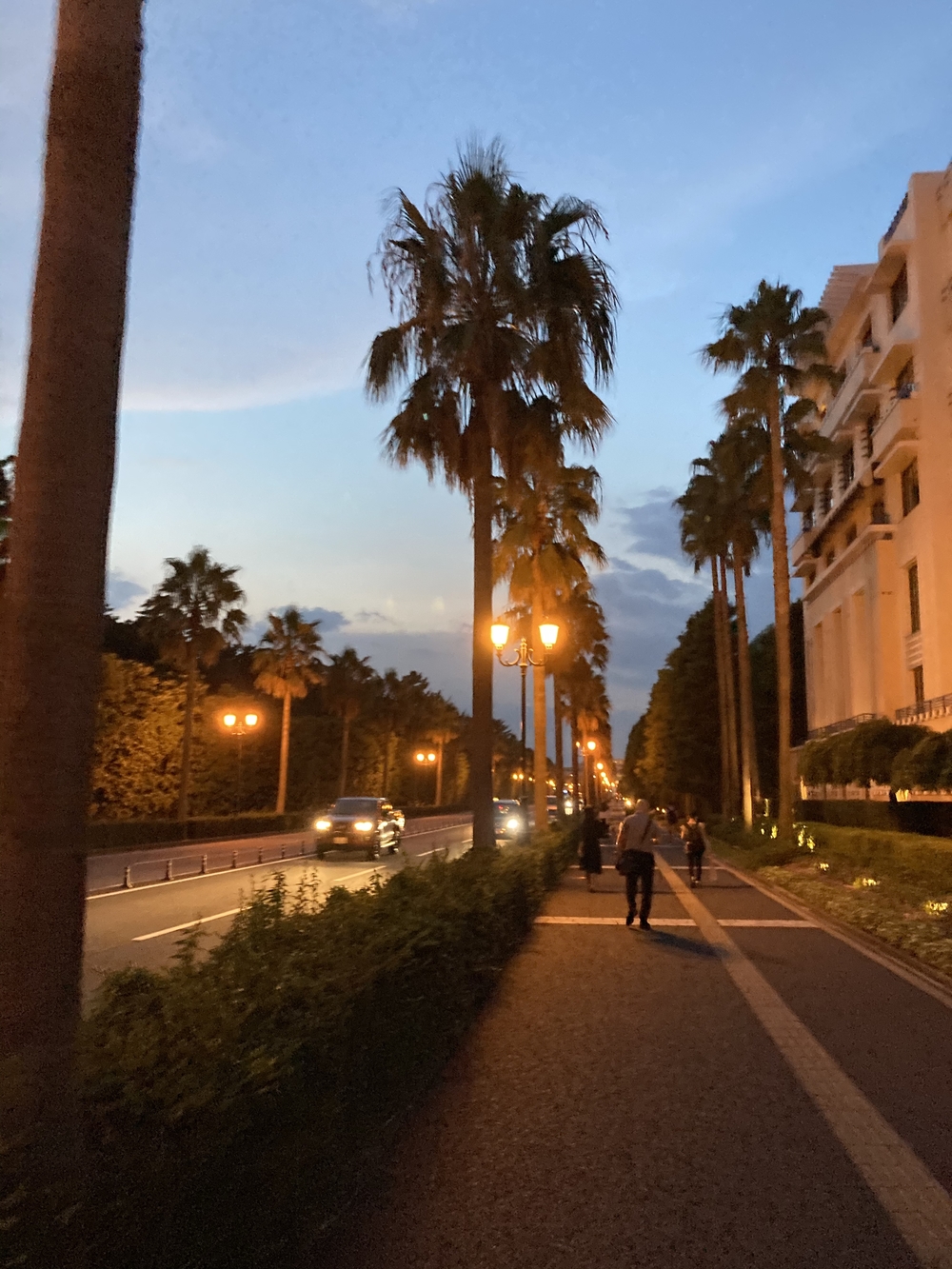 ディズニーリゾート　ナイトランの写真3