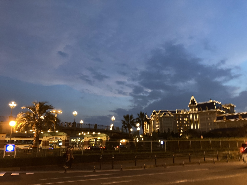 ディズニーリゾート　ナイトランの写真4