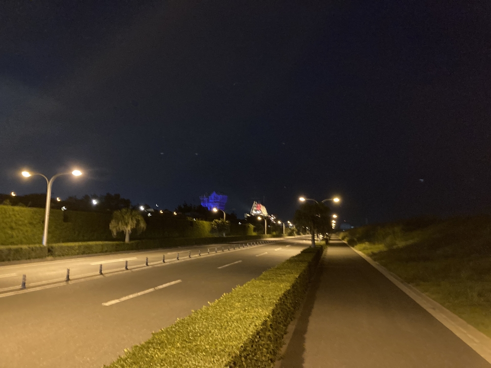 ディズニーリゾート　ナイトランの写真5