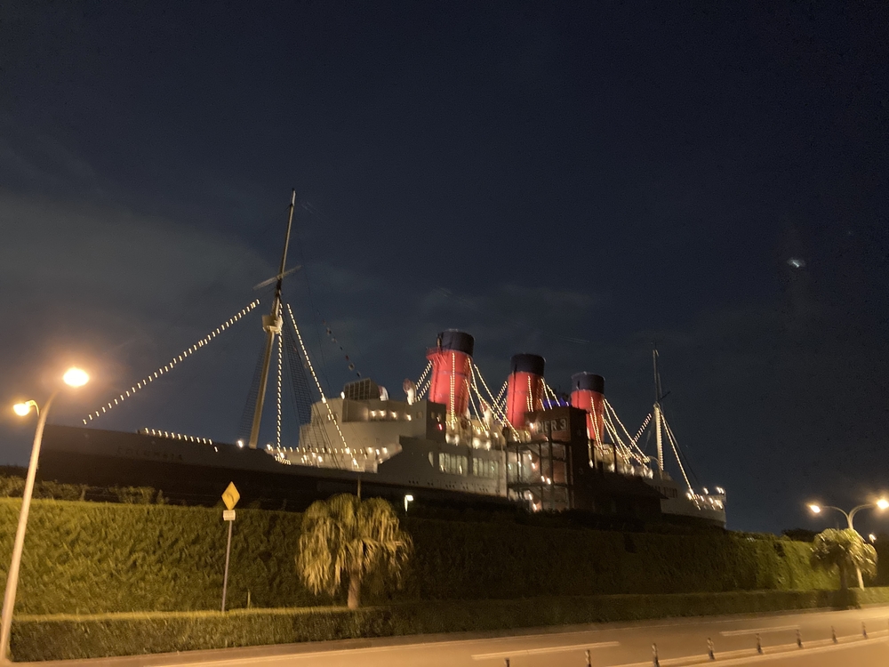 ディズニーリゾート　ナイトランの写真6