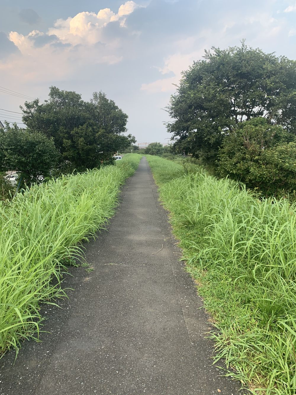 歌川広重と共にRUN  大磯の写真6