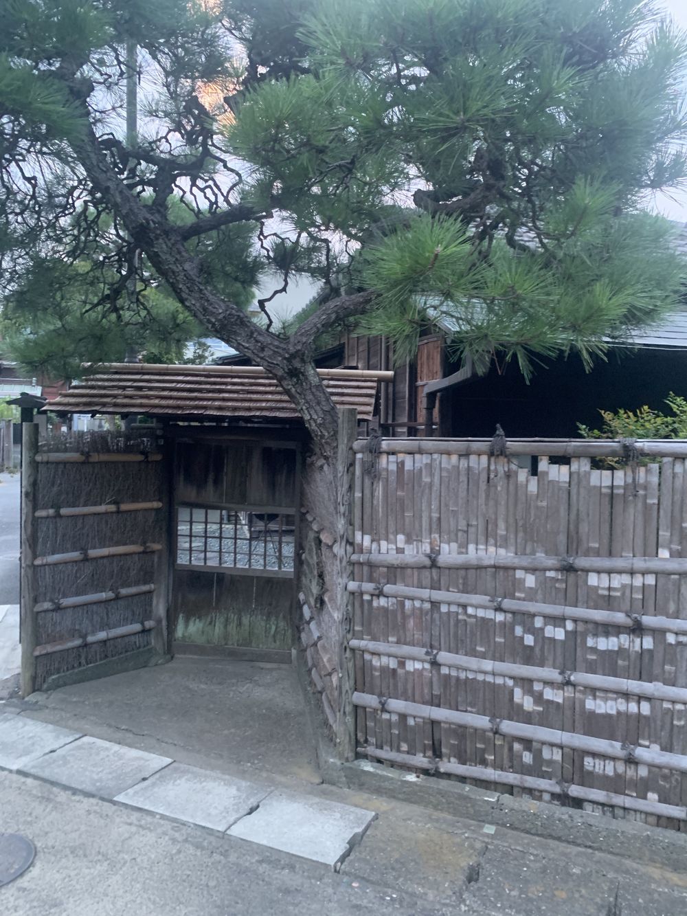 歌川広重と共にRUN  大磯の写真10