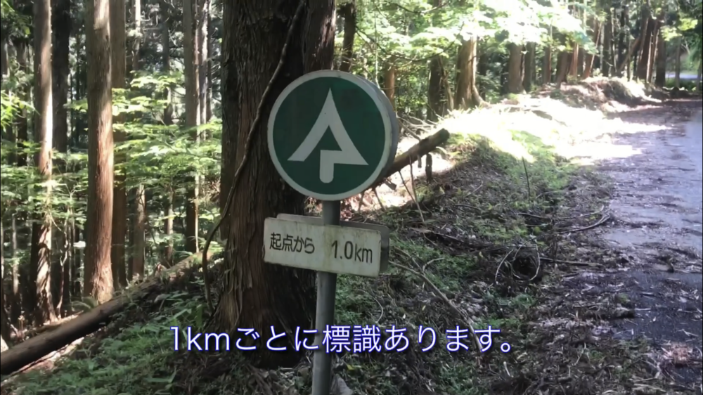 絶景と乳酸の但馬アルペンロードの写真7