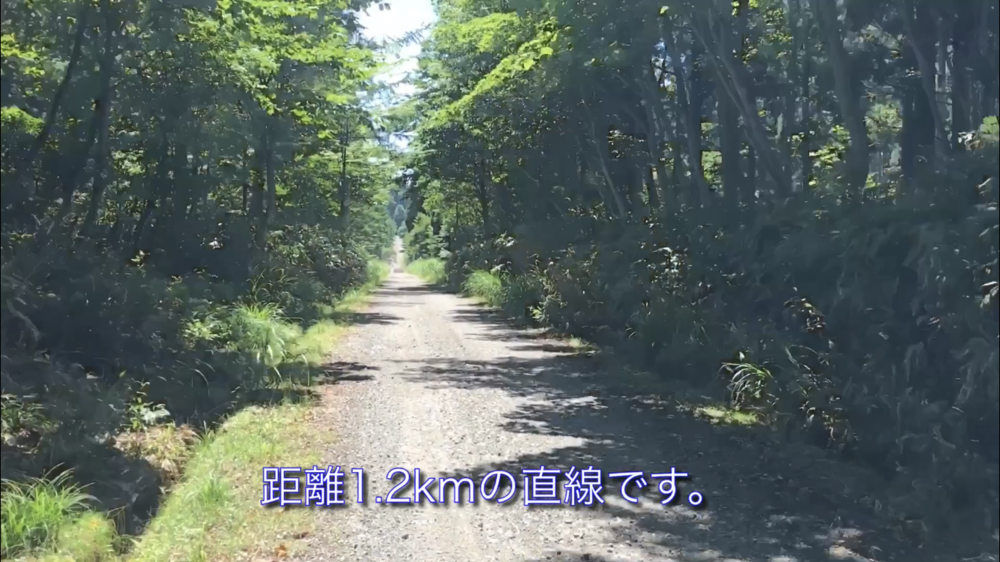 絶景と乳酸の但馬アルペンロードの写真15