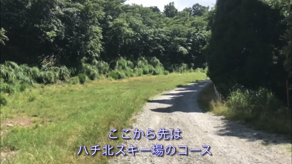 絶景と乳酸の但馬アルペンロードの写真22