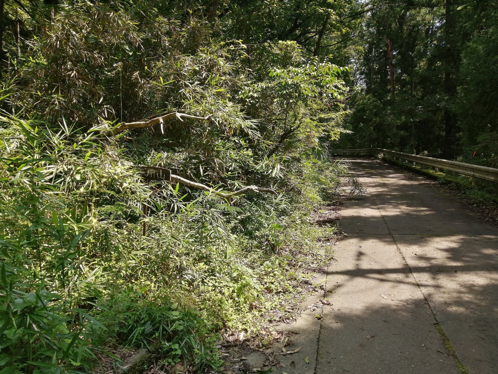 大月市・秀麗富嶽十二景の百蔵山〜扇山を程よく20kmトレランの写真6
