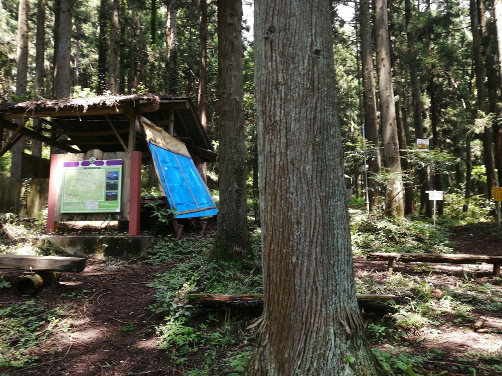 大月市・秀麗富嶽十二景の百蔵山〜扇山を程よく20kmトレランの写真9