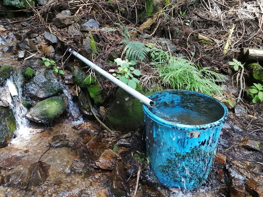 大月市・秀麗富嶽十二景の百蔵山〜扇山を程よく20kmトレランの写真10