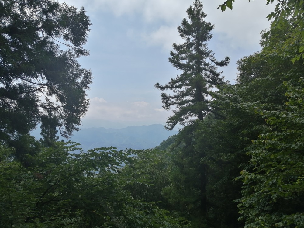 大月市・秀麗富嶽十二景の百蔵山〜扇山を程よく20kmトレランの写真11