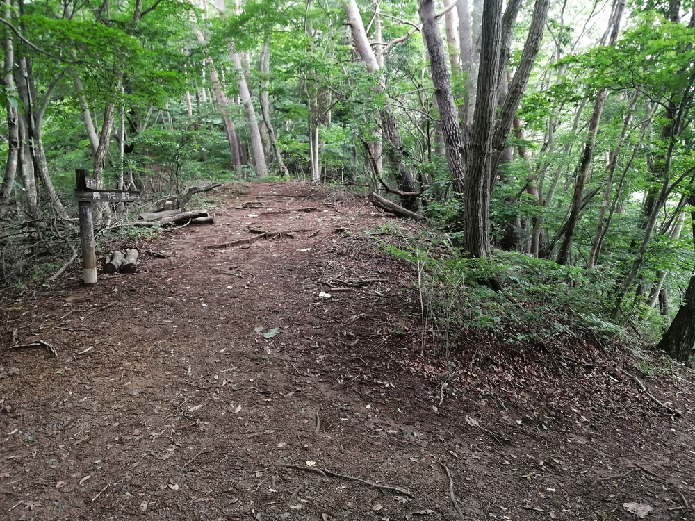 大月市・秀麗富嶽十二景の百蔵山〜扇山を程よく20kmトレランの写真12