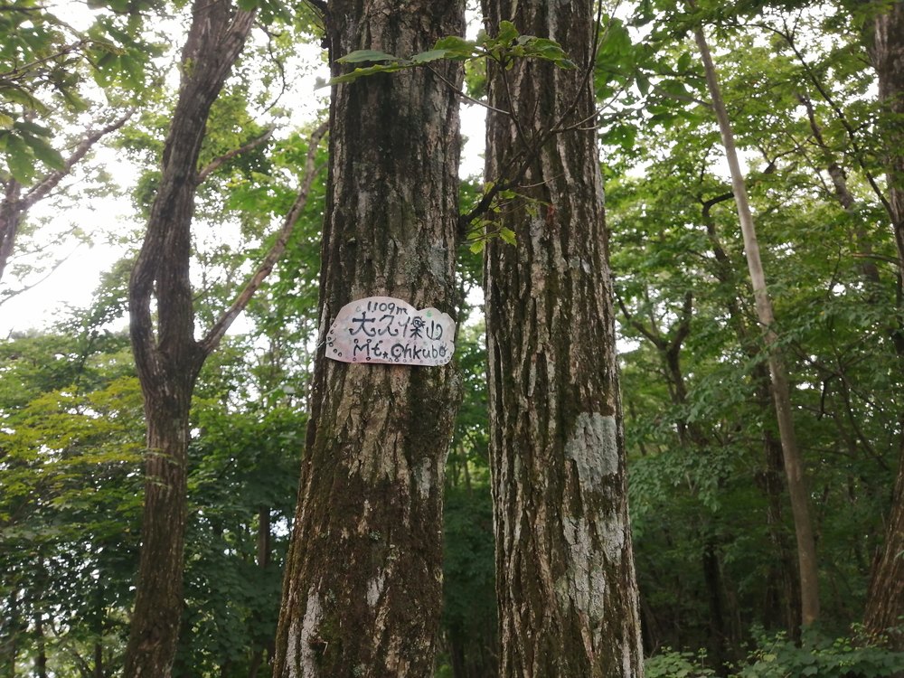 大月市・秀麗富嶽十二景の百蔵山〜扇山を程よく20kmトレランの写真13