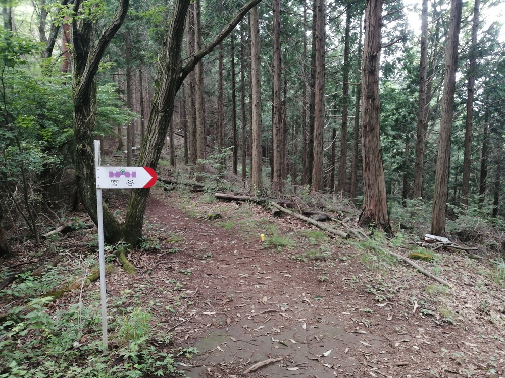 大月市・秀麗富嶽十二景の百蔵山〜扇山を程よく20kmトレランの写真14