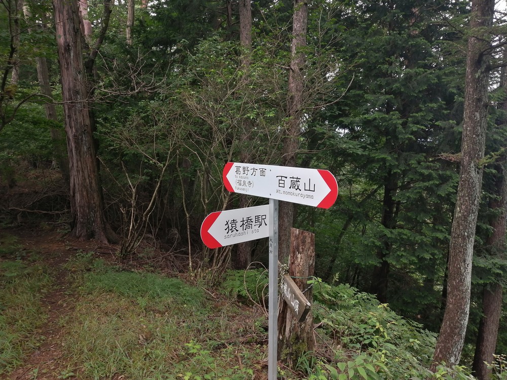 大月市・秀麗富嶽十二景の百蔵山〜扇山を程よく20kmトレランの写真16