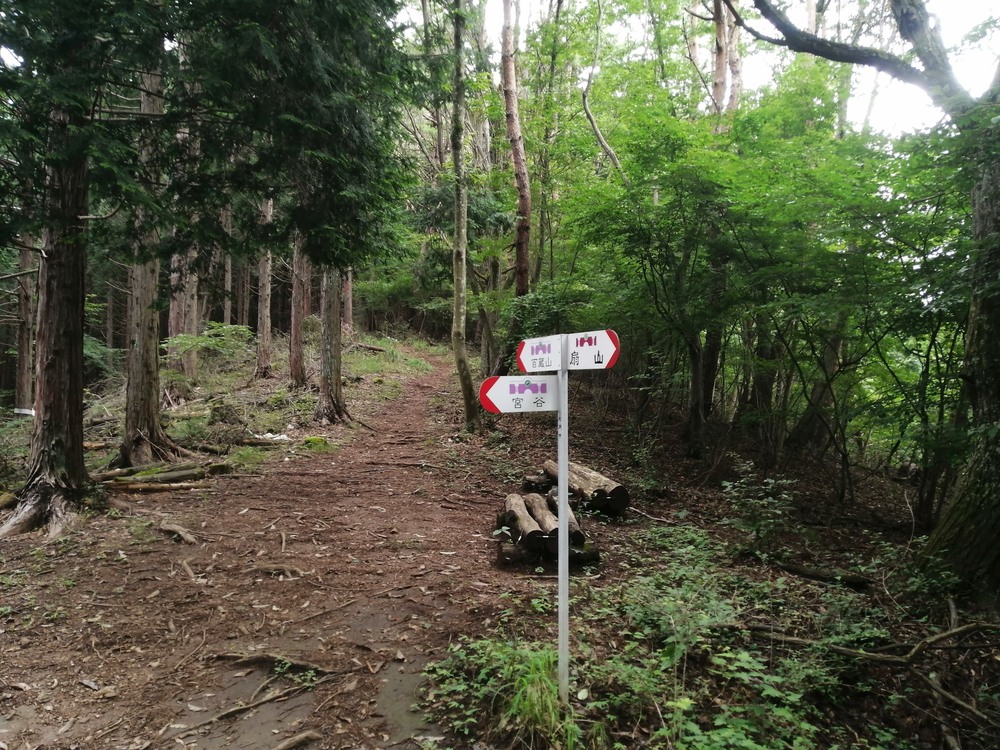大月市・秀麗富嶽十二景の百蔵山〜扇山を程よく20kmトレランの写真17