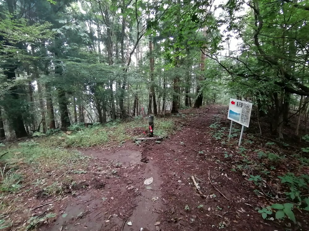 大月市・秀麗富嶽十二景の百蔵山〜扇山を程よく20kmトレランの写真20