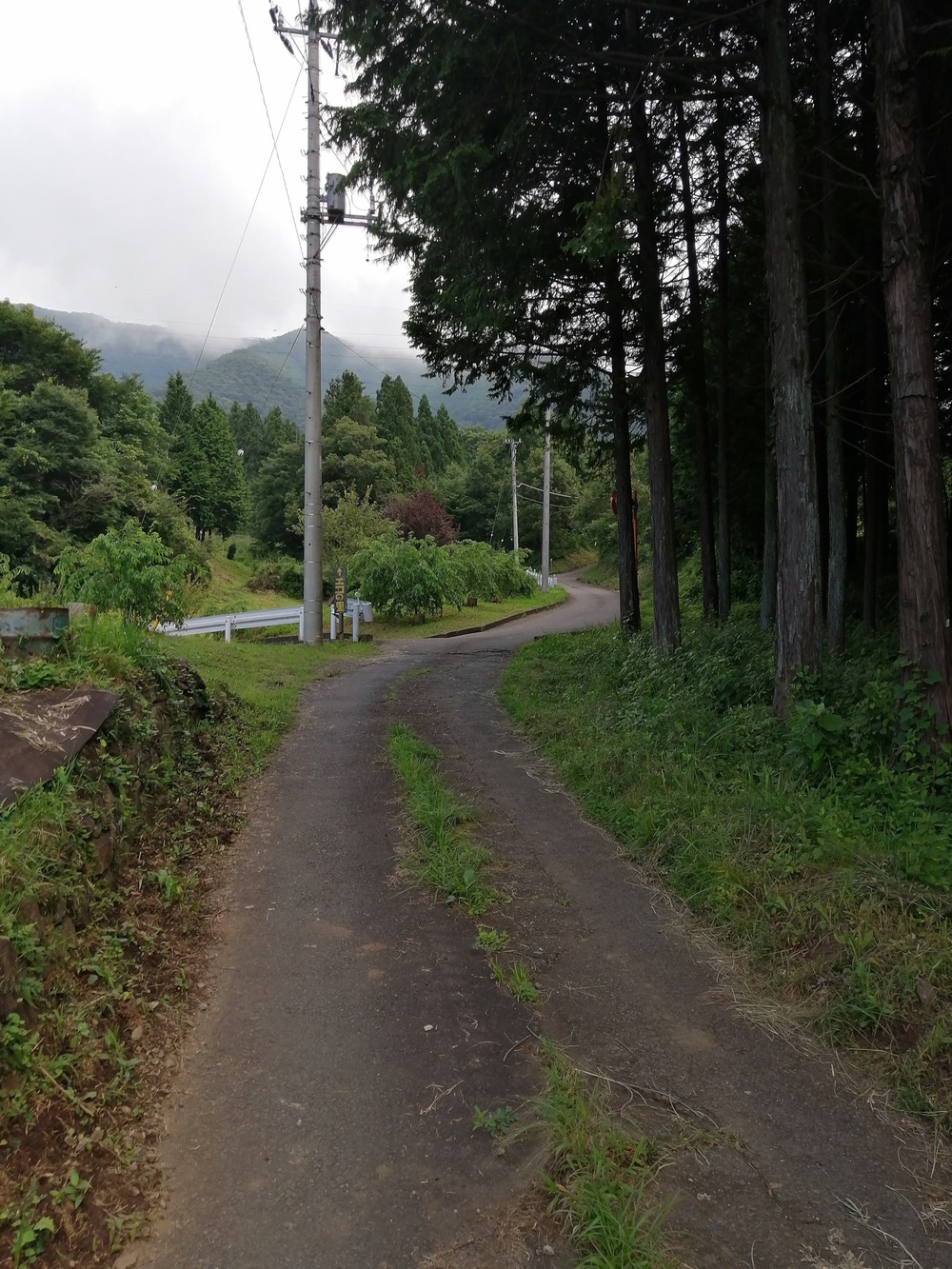 大月市・秀麗富嶽十二景の百蔵山〜扇山を程よく20kmトレランの写真23