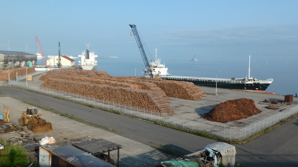 函館 ともえ大橋　朝RUNの写真6