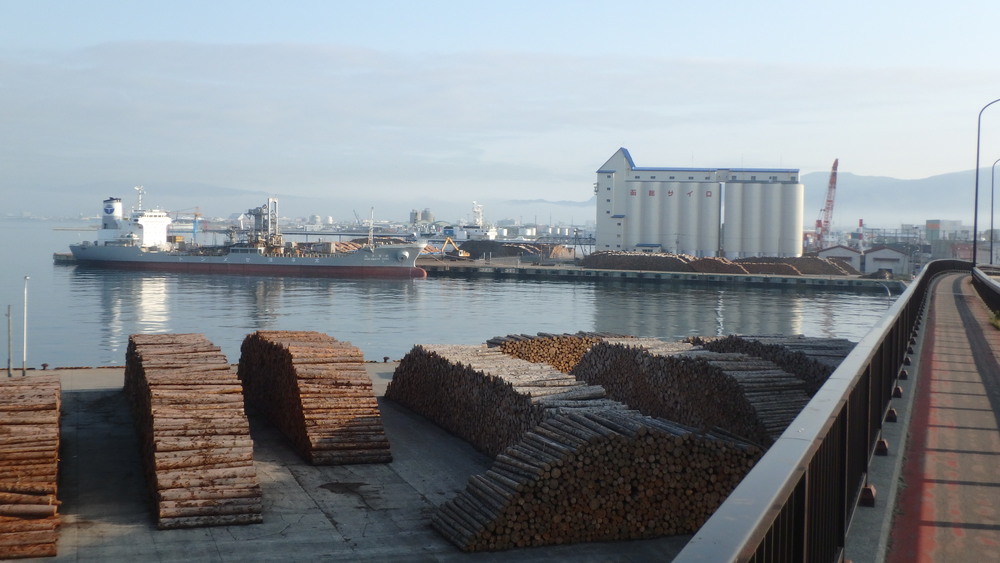 函館 ともえ大橋　朝RUNの写真7