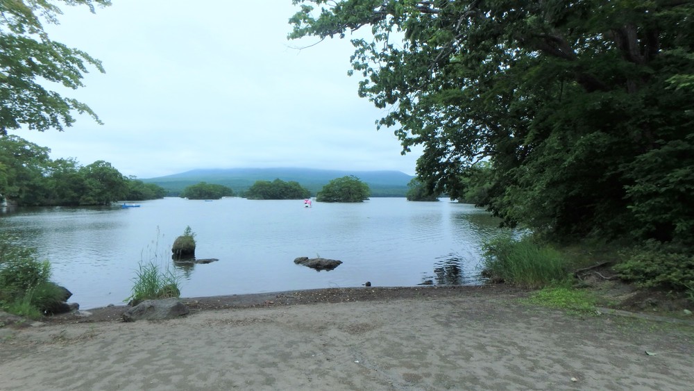 大沼公園散策路jogの写真3