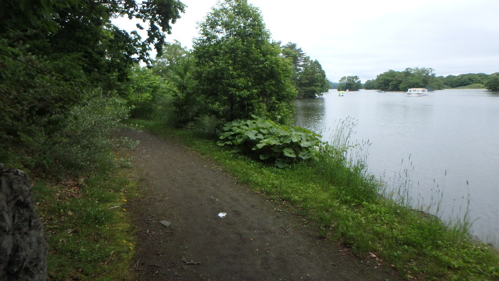 大沼公園散策路jogの写真4