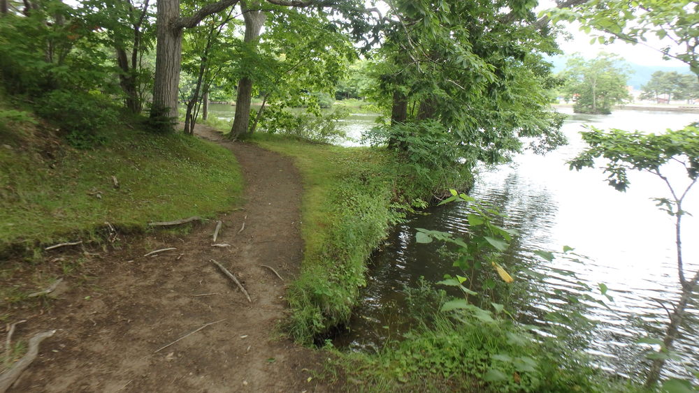 大沼公園散策路jogの写真5