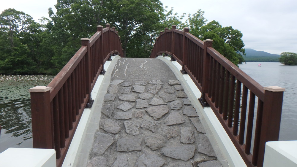 大沼公園散策路jogの写真6