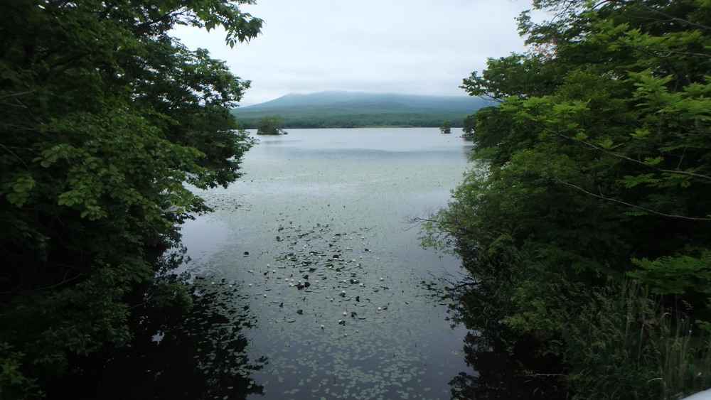 大沼公園散策路jogの写真9