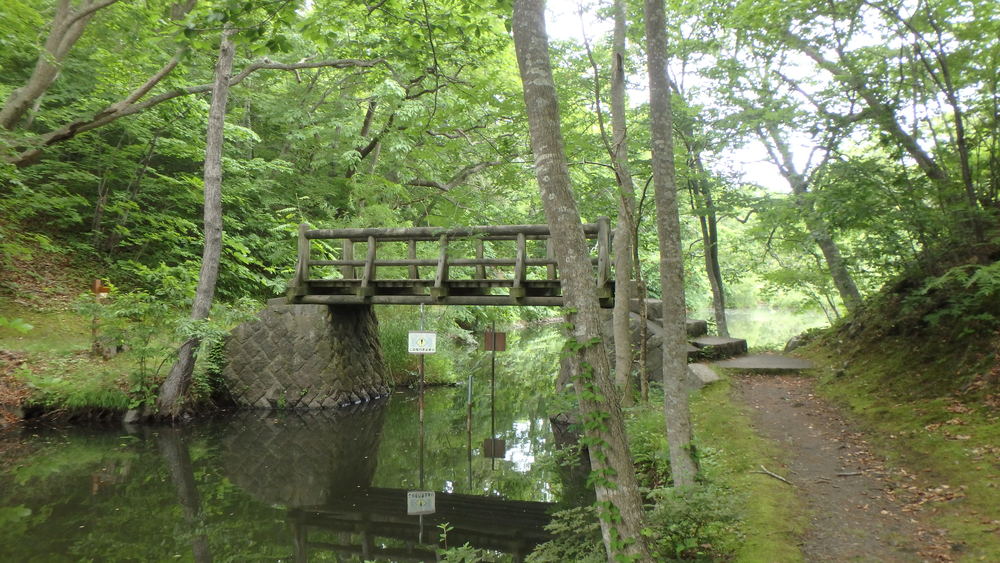 大沼公園散策路jogの写真12