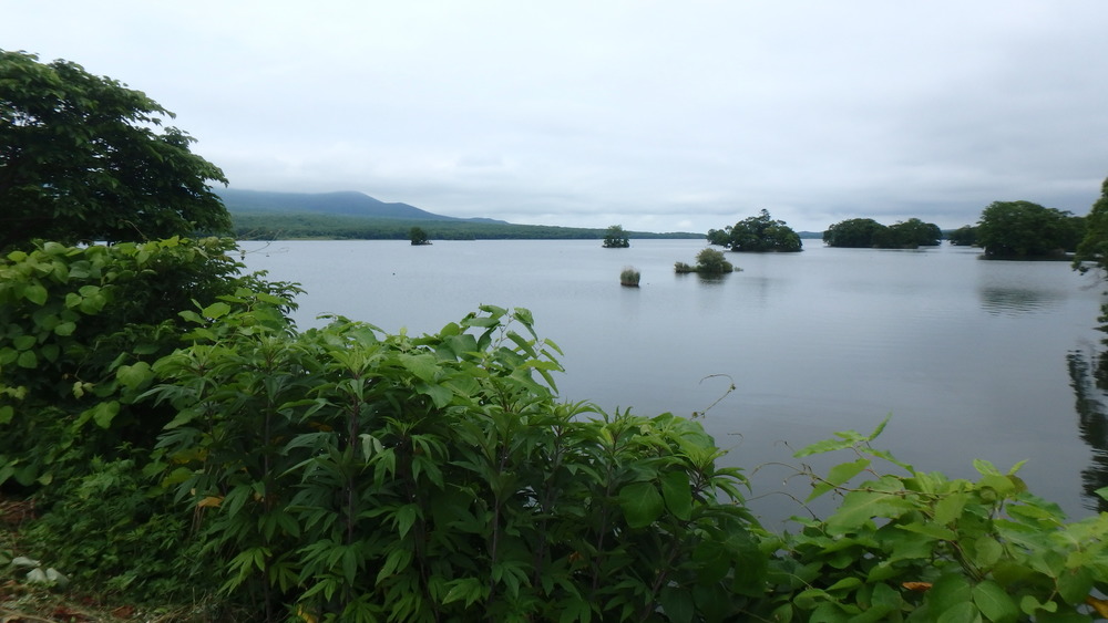 大沼公園散策路jogの写真14