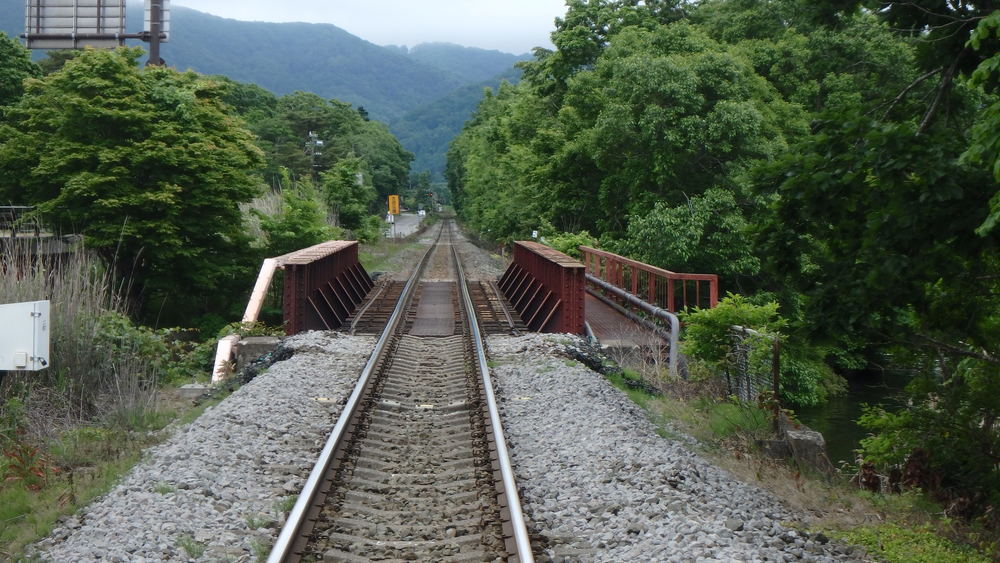 大沼公園散策路jogの写真15