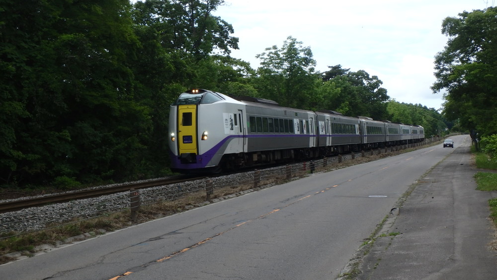 大沼公園散策路jogの写真16