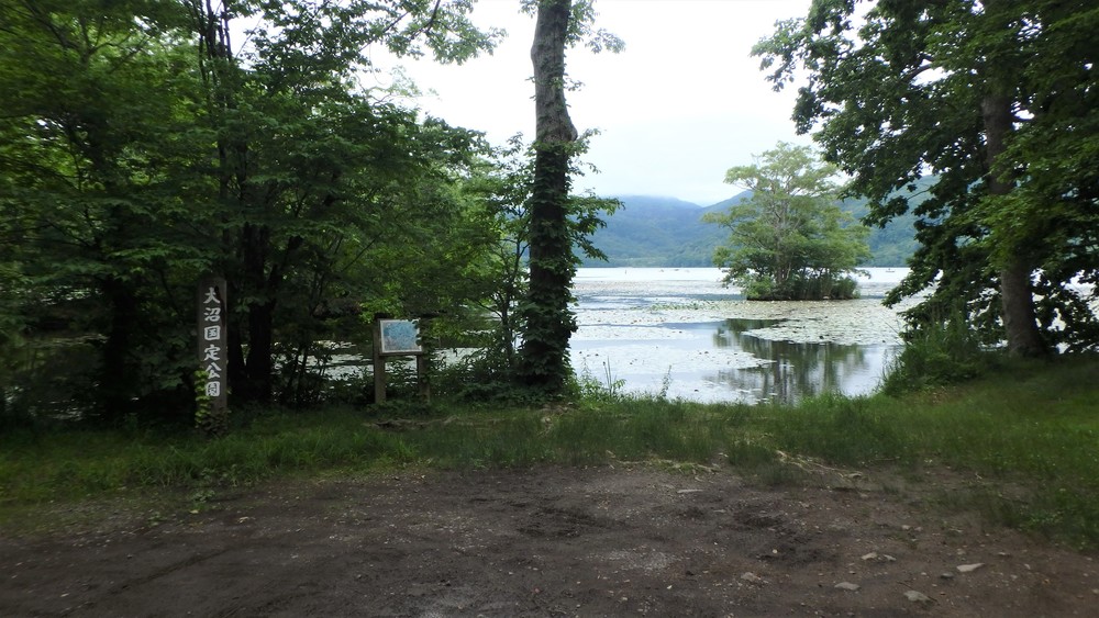 大沼公園散策路jogの写真18