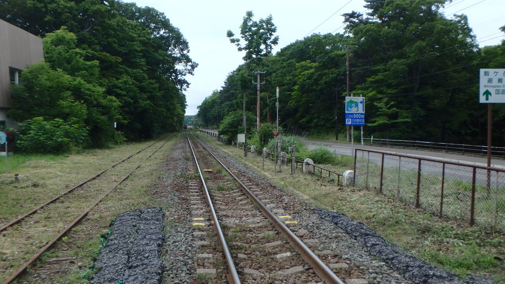 大沼公園散策路jogの写真21