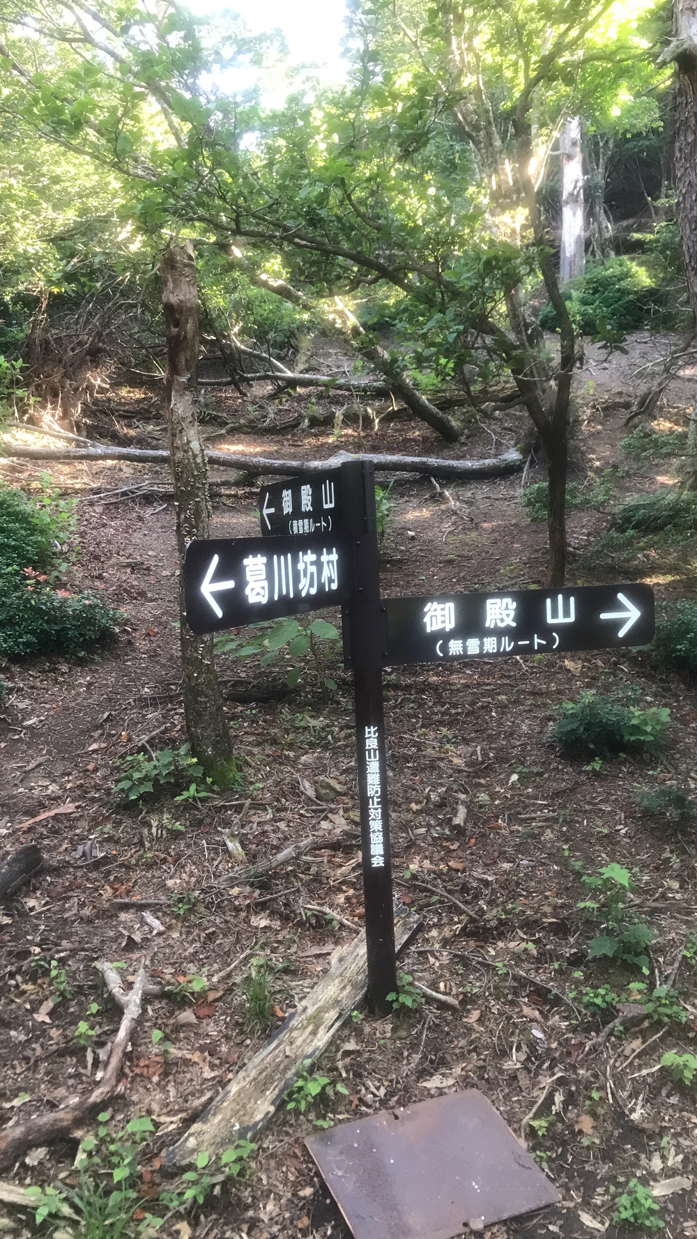 比良山系最高峰・武奈ヶ岳２発の写真4