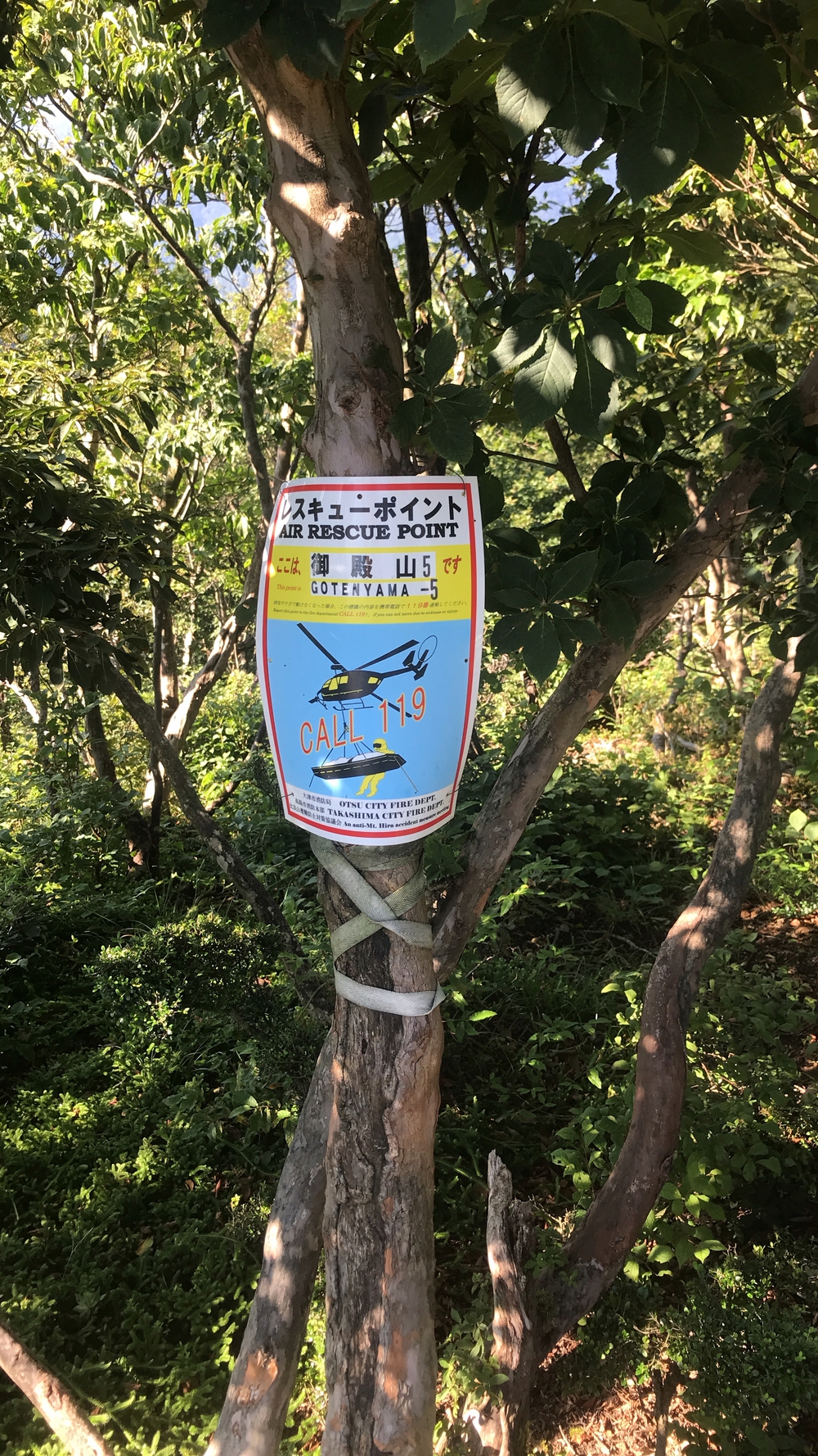 比良山系最高峰・武奈ヶ岳２発の写真6