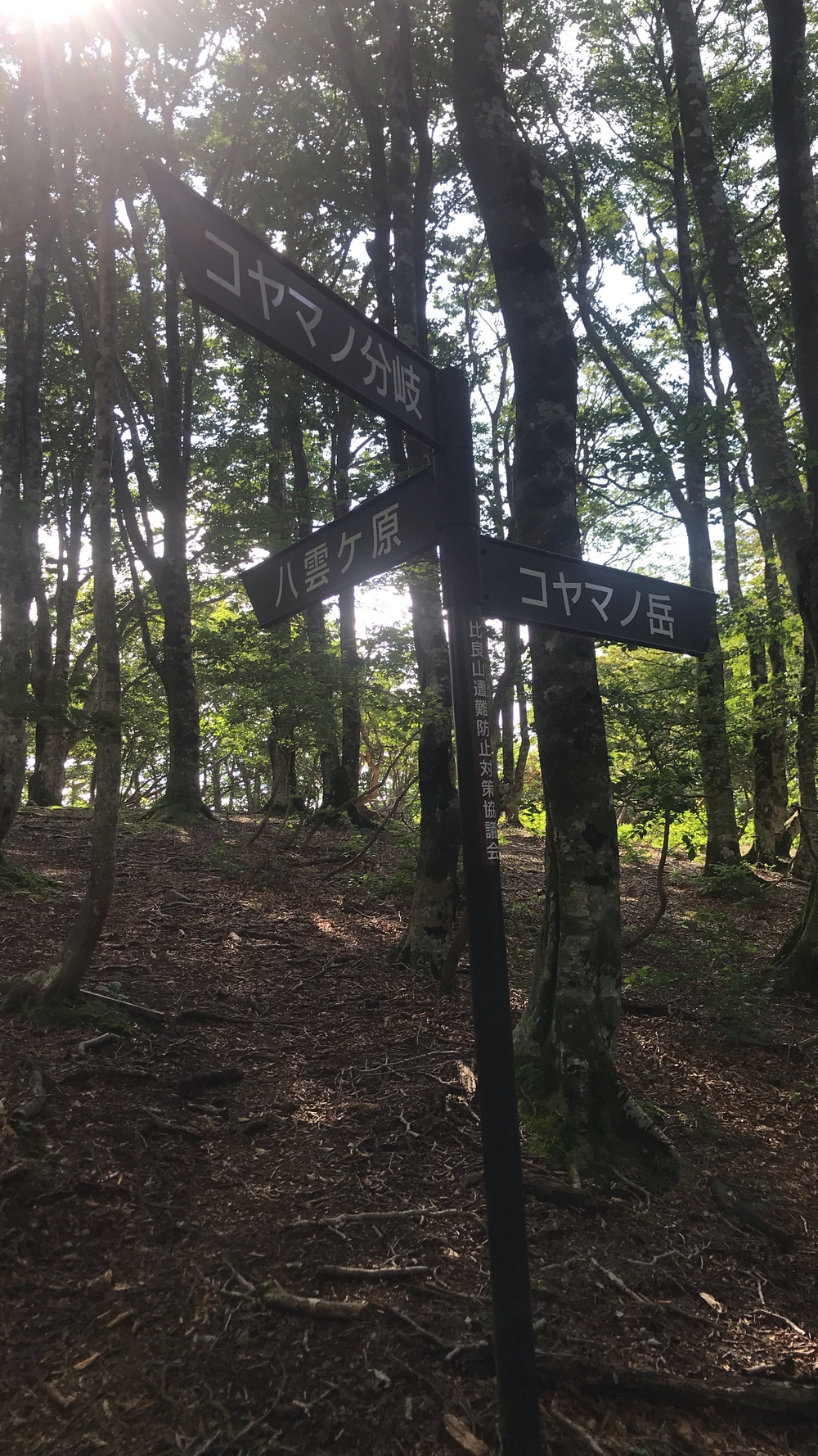 比良山系最高峰・武奈ヶ岳２発の写真15