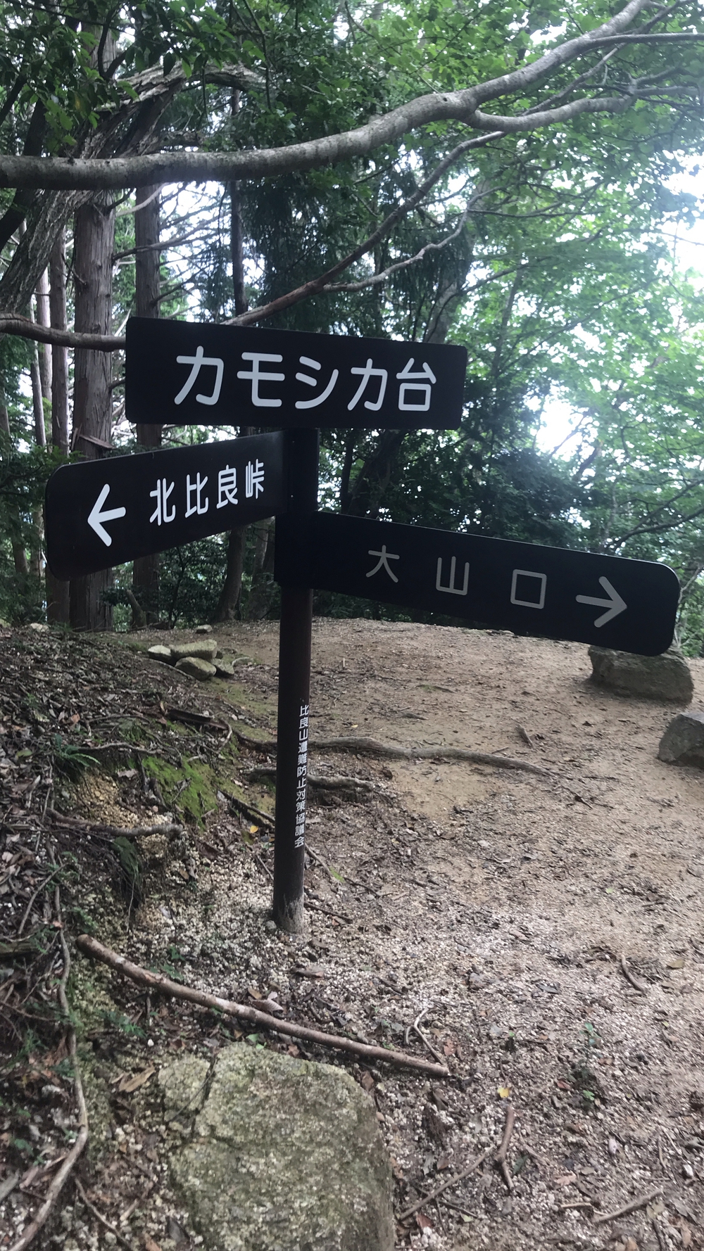 比良山系最高峰・武奈ヶ岳２発の写真19