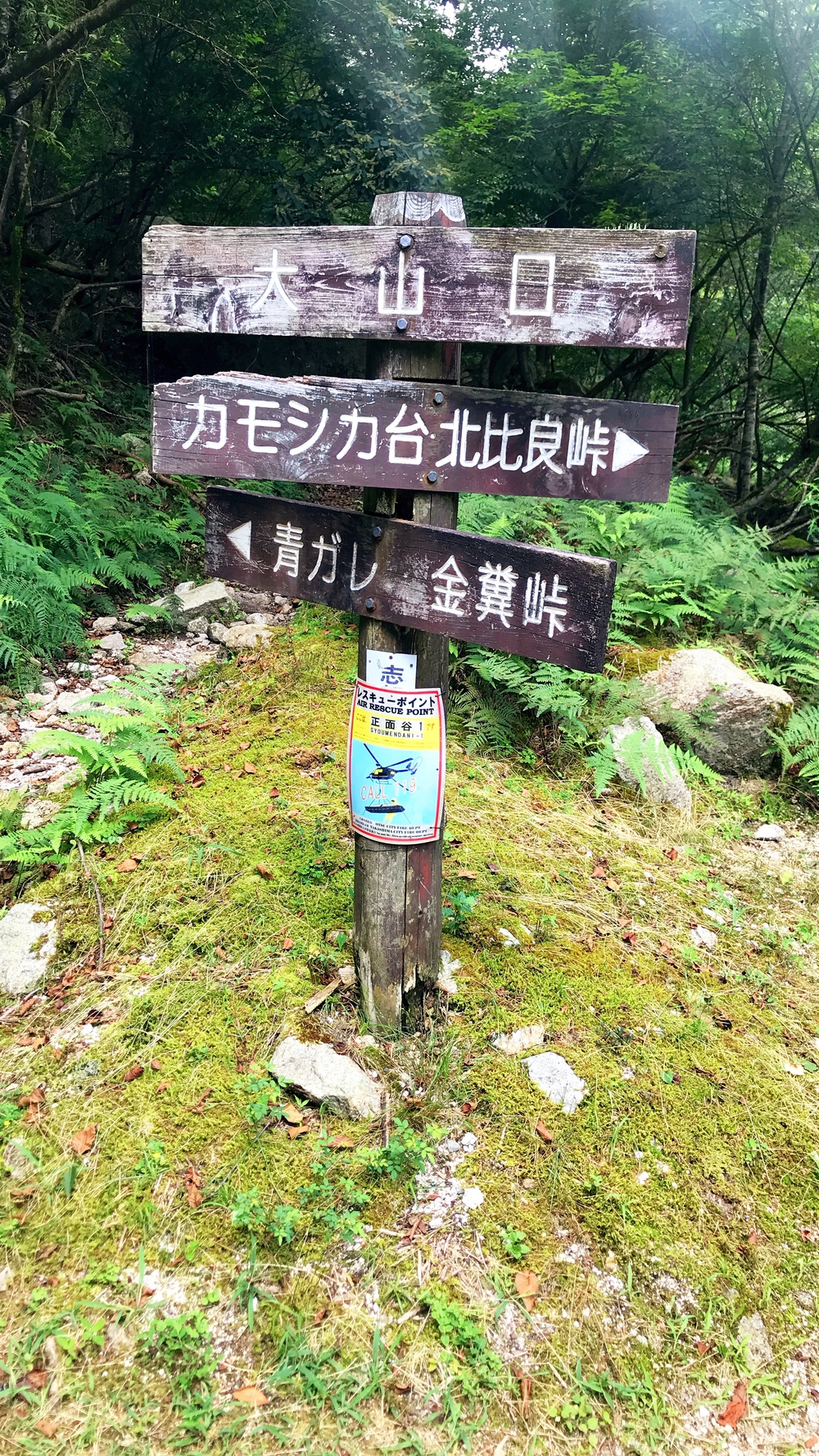 比良山系最高峰・武奈ヶ岳２発の写真22