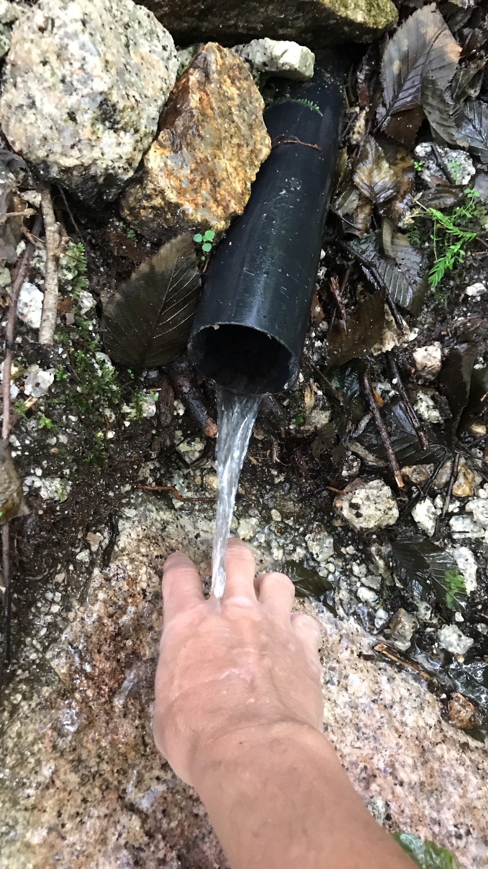 比良山系最高峰・武奈ヶ岳２発の写真24
