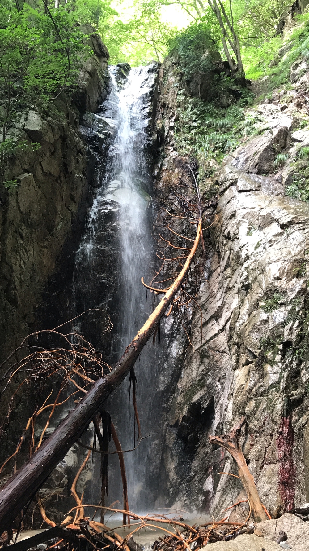 比良山系最高峰・武奈ヶ岳２発の写真26